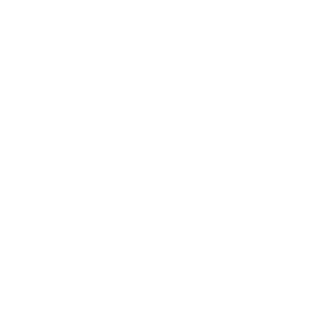 GBASO logo white