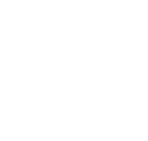 scooter icon